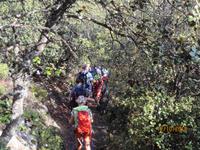 Ab durch die Hecke! &ndash; &copy; Lena Kleemann (Eberhardt TRAVEL)