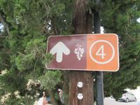 Auf dem Weinweg 4 &ndash; &copy; Marion Kottlos (Eberhardt TRAVEL)