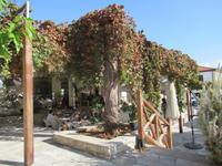 Pause im Kaffeon von Arsos &ndash; &copy; Marion Kottlos (Eberhardt TRAVEL)
