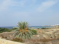 Königsgräber Paphos &ndash; &copy; Marion Kottlos (Eberhardt TRAVEL)