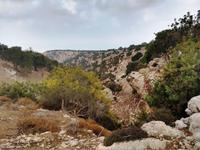 242 Der Beginn der Avagas Schlucht &ndash; &copy; Konrad Füssel (Eberhardt TRAVEL)
