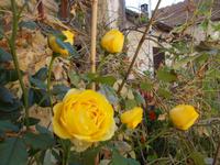 DSCN2249 &ndash; &copy; Kerstin Veit (Eberhardt TRAVEL)