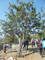 DSCN2267 &ndash; &copy; Kerstin Veit (Eberhardt TRAVEL)