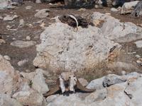 DSCN2270 &ndash; &copy; Kerstin Veit (Eberhardt TRAVEL)