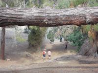 DSCN2295 &ndash; &copy; Kerstin Veit (Eberhardt TRAVEL)