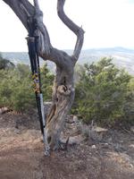 DSCN2303  PAUSE &ndash; &copy; Kerstin Veit (Eberhardt TRAVEL)