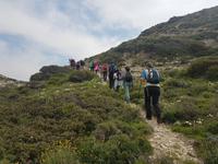 Wanderreise Zypern März, 2019 &ndash; &copy; Mario Scheinert (Eberhardt TRAVEL)