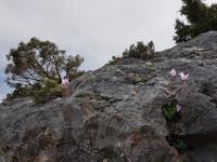 Wanderreise Zypern März, 2019 &ndash; &copy; Mario Scheinert (Eberhardt TRAVEL)