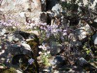 DSCN2434   &ndash; &copy; Kerstin Veit (Eberhardt TRAVEL)