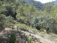 DSCN2478 &ndash; &copy; Kerstin Veit (Eberhardt TRAVEL)