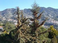 DSCN2507 Blick nach Agros &ndash; &copy; Kerstin Veit (Eberhardt TRAVEL)