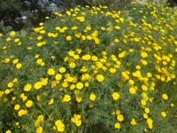 DSCN2558 &ndash; &copy; Kerstin Veit (Eberhardt TRAVEL)