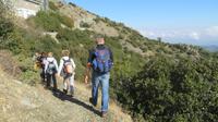 Wanderung in der grünen Lunge Zyperns &ndash; &copy; Rico Manns (Eberhardt TRAVEL)