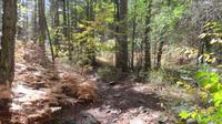 Wanderung von Troodos zum Olympus &ndash; &copy; Rico Manns (Eberhardt TRAVEL)