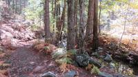 Wanderung von Troodos zum Olympus &ndash; &copy; Rico Manns (Eberhardt TRAVEL)
