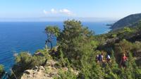 Wanderung auf der Akamas Halbinsel 