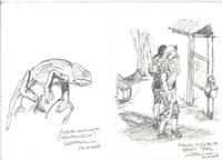 chameleon &ndash; &copy; Rico Manns (Eberhardt TRAVEL)