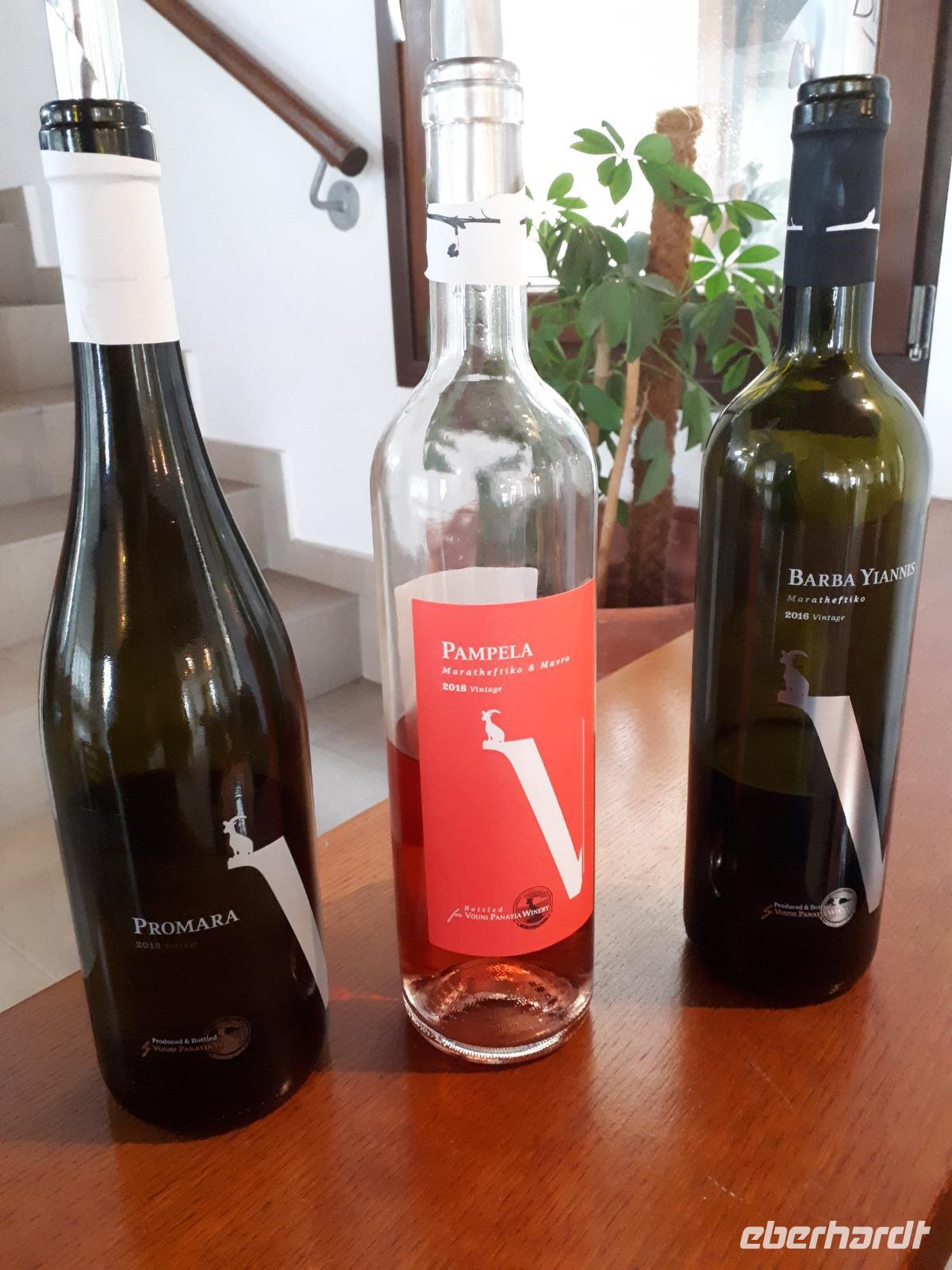 Weingut mit Verkostung (7) &ndash; &copy; Vanessa Krüger (Eberhardt TRAVEL)