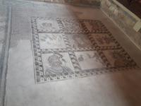 Haus des Dionysos (11) &ndash; &copy; Vanessa Krüger (Eberhardt TRAVEL)