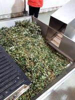 Olivenölpresse (2) &ndash; &copy; Vanessa Krüger (Eberhardt TRAVEL)