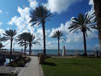Pioneer Beach Hotel Paphos (2) &ndash; &copy; Vanessa Krüger (Eberhardt TRAVEL)
