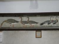 Ägyptische Museum