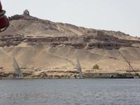 Feluken Bootsfahrt zum Botanischen Garten