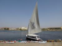 Feluken Bootsfahrt zum Botanischen Garten