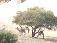  Bootsfahrt im Naturschutzgebiet
