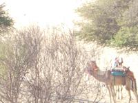  Bootsfahrt im Naturschutzgebiet