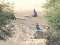  Bootsfahrt im Naturschutzgebiet