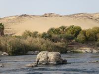  Bootsfahrt im Naturschutzgebiet