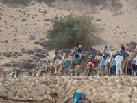  Bootsfahrt im Naturschutzgebiet