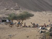  Bootsfahrt im Naturschutzgebiet