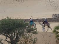  Bootsfahrt im Naturschutzgebiet