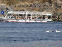  Bootsfahrt im Naturschutzgebiet