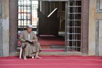 Studien zwischendurch