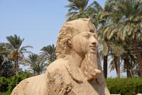 Memphis - der Sphinx