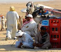Kameltreiber warten auf Kundschaft