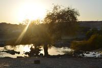 friedlliche Stimmung