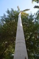 im Botanischen Garten