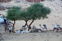 Warten auf Kundschaft