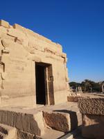 Katzen am Philae Tempel