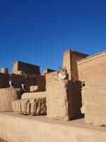 Mehr Katzen am Philae Tempel