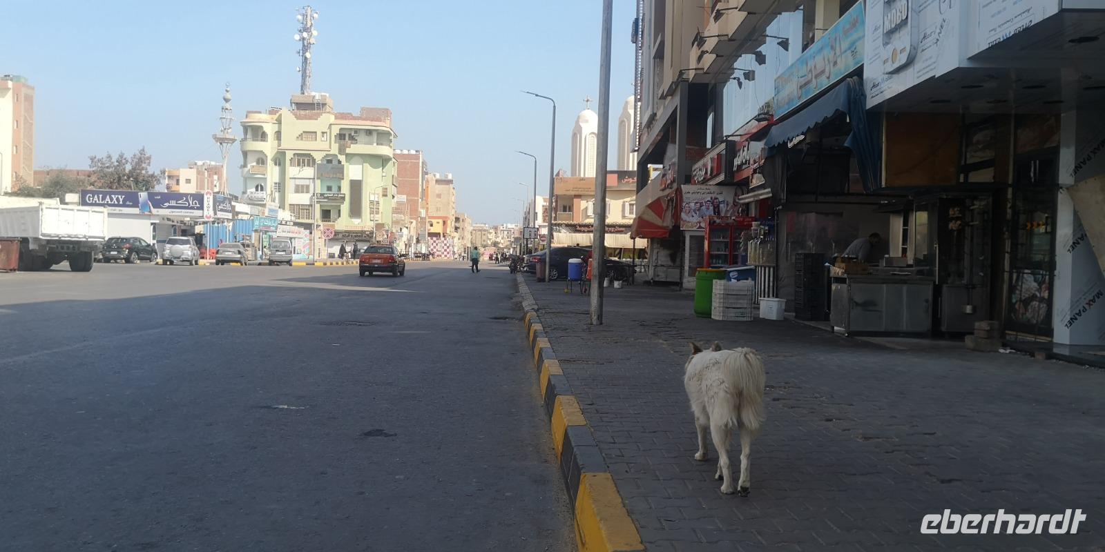 Unser 'Tourguide' in Hurghada