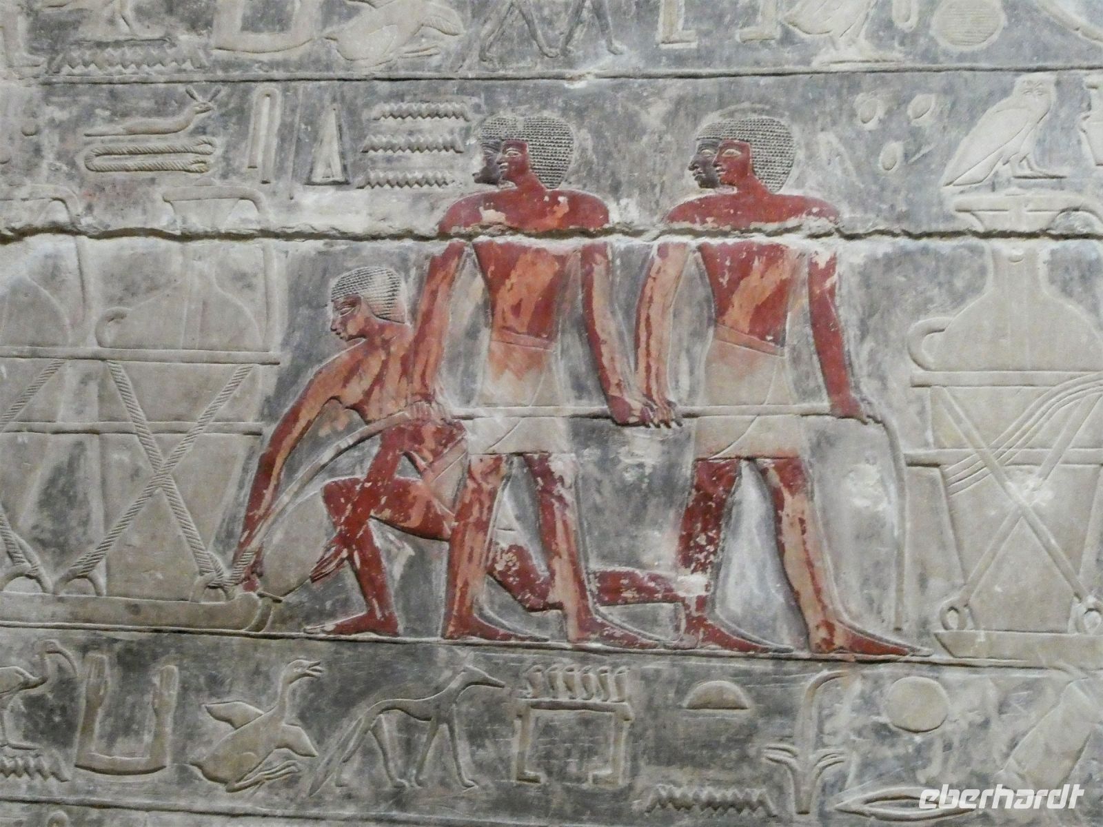 in der Mastaba des Kagemni