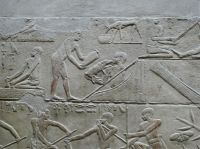 Reliefs in der Mastaba des Kagemni