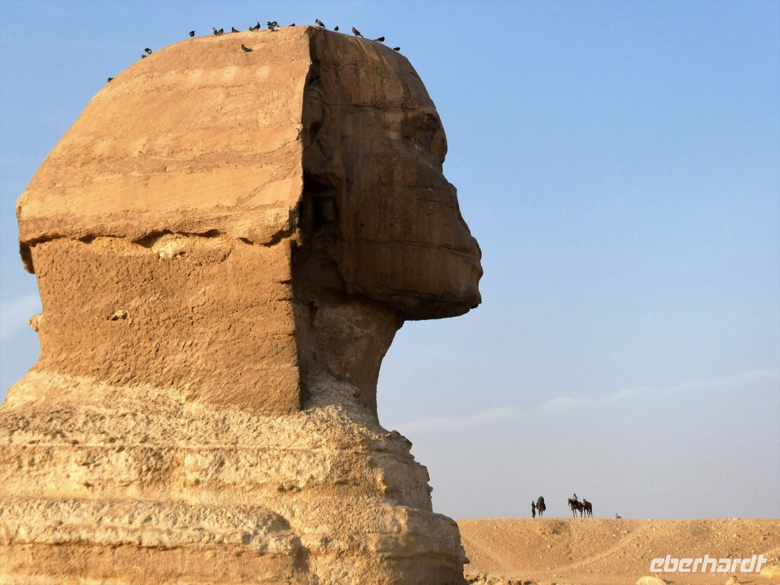 Licht und Schatten (2)