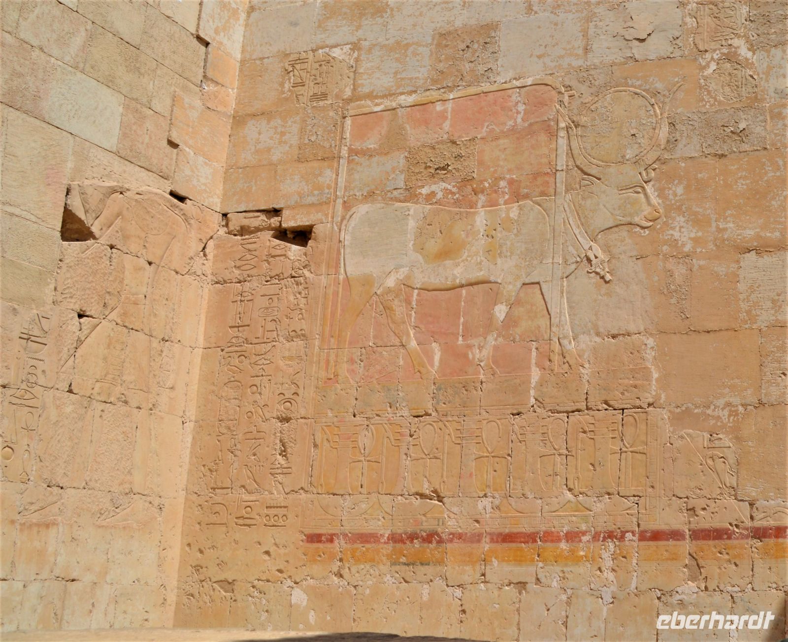 Bildnis im Tempel der Hatschepsut 