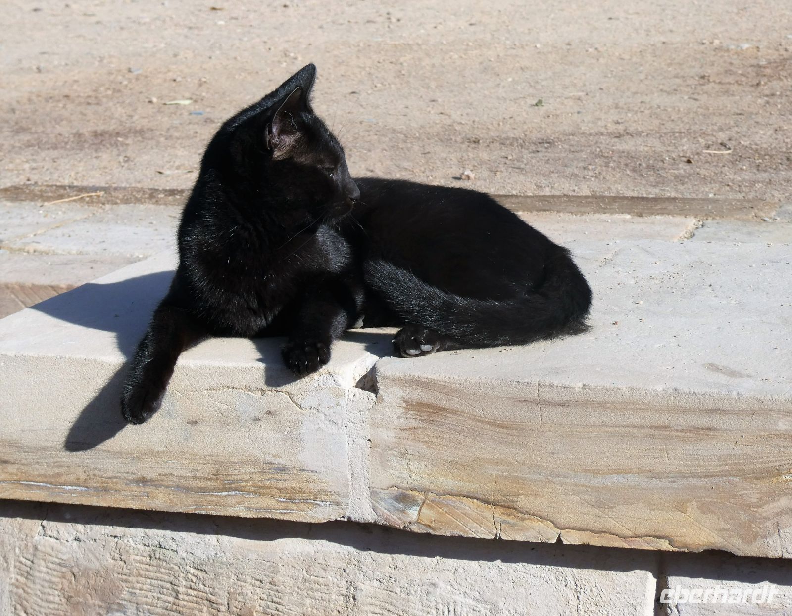 Ich bin die Schönste